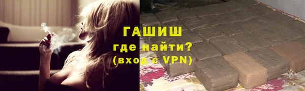 индика Балахна