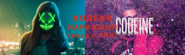 индика Балахна